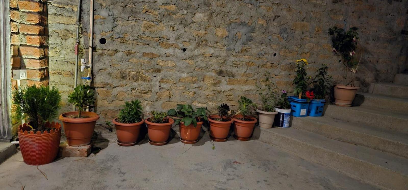 Golden Himalaya Homestay Kausani Exterior photo